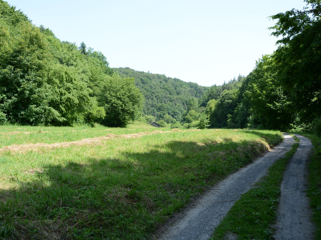 Saspowka stream valley景点图片