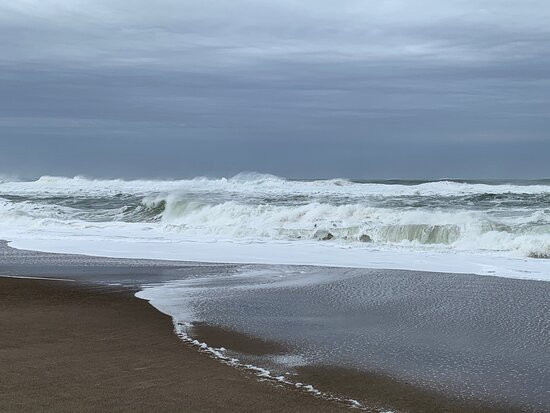 Gleneden Beach State Park-Gleneden Beach必去景点