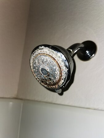 Super 8 by Wyndham Williams Lake BC主图