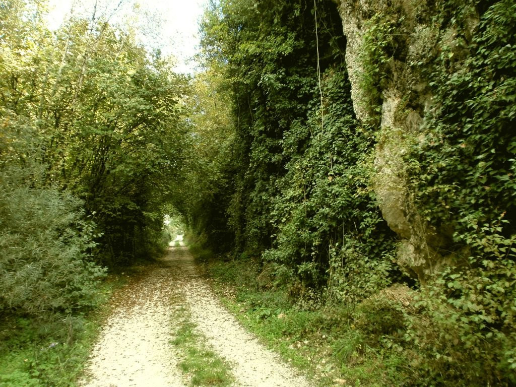 Sentiero della Ferrovia景点图片