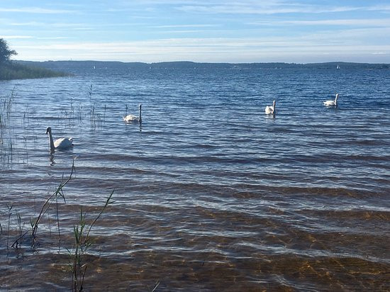 Village Vacances Lacanau - Azureva主图