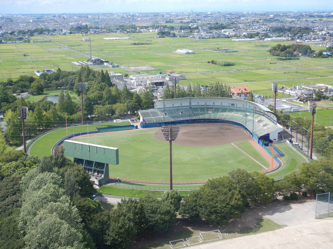 Koshigaya Municipal Stadium景点图片