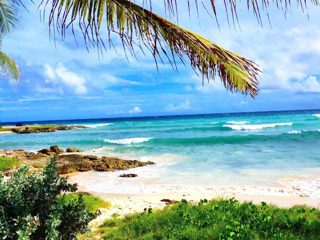 基督城旅游攻略图片