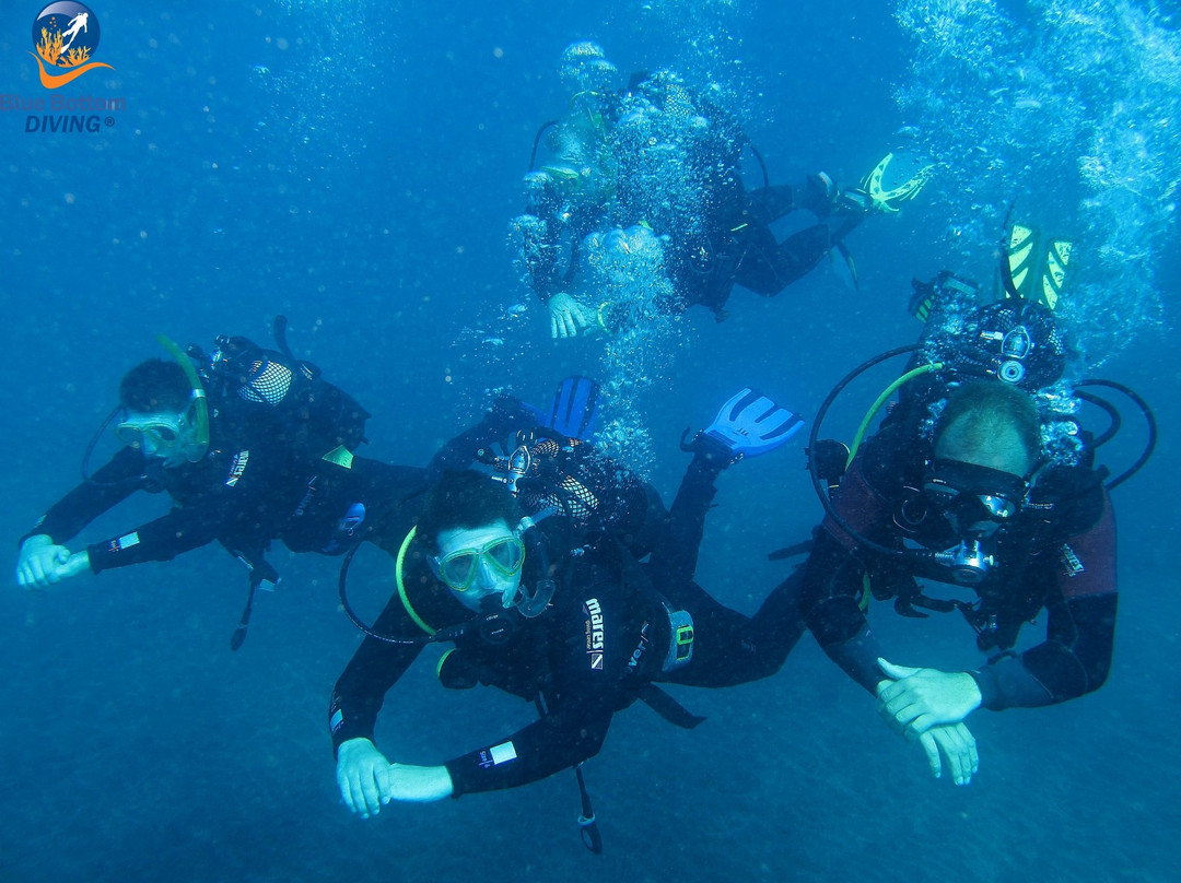 Blue Bottom Diving-奥德杰海岸必去景点