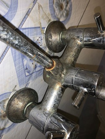 Hotel White Tulip主图