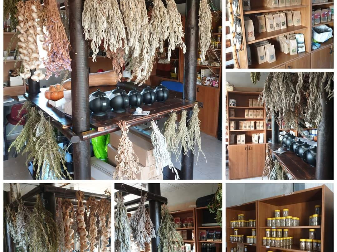 Tala旅游景点-ADONIS Botanic Garden