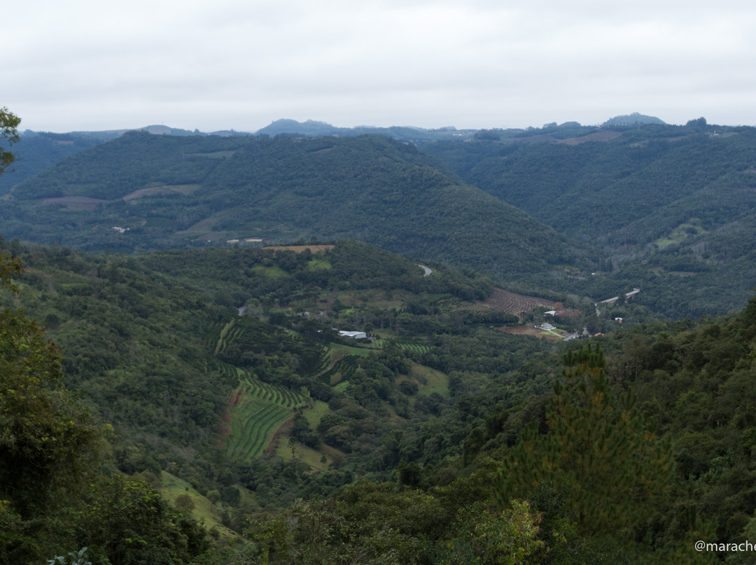 Belvedere Rio Das Antas景点图片