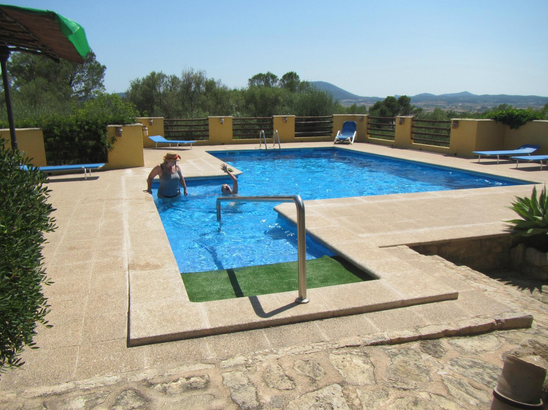 Finca Sabor