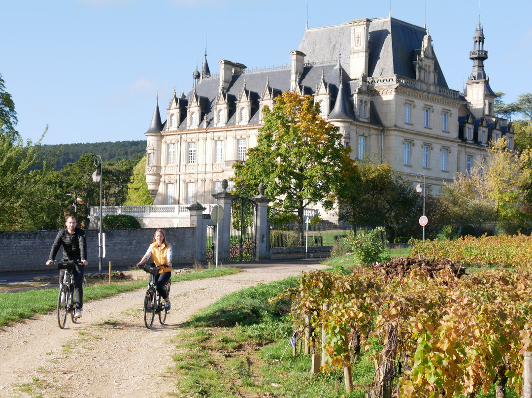 Burgundy Bike景点图片