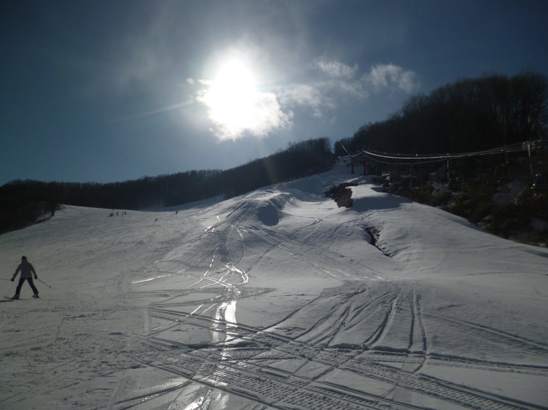 Benkei Onsen Orofure Ski Area景点图片