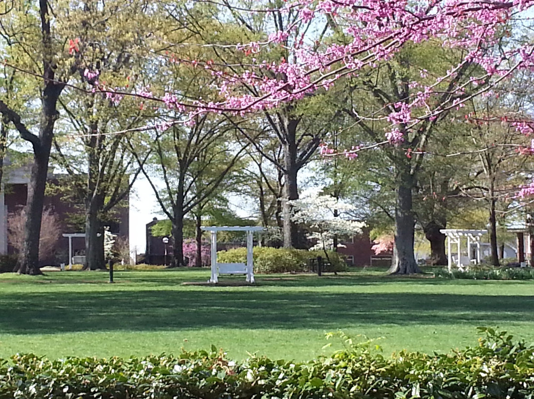 Harding University景点图片