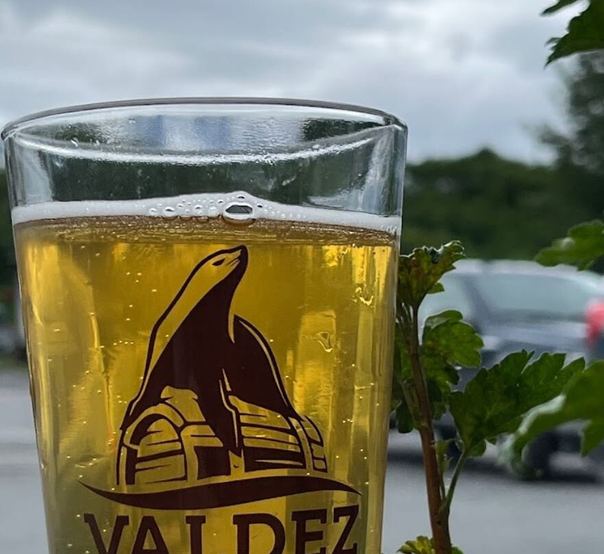 Valdez Brewing-瓦尔迪兹必去景点