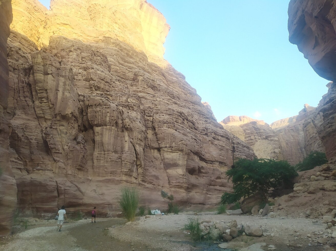 Wadi Numeira景点图片