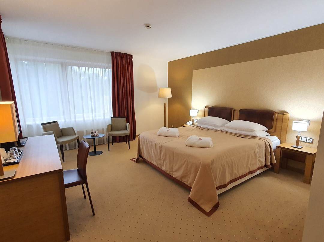 Gabija hotel & SPA主图