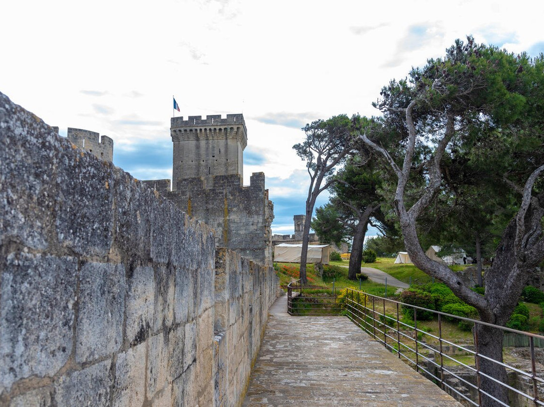Château de Beaucaire-Beaucaire必去景点