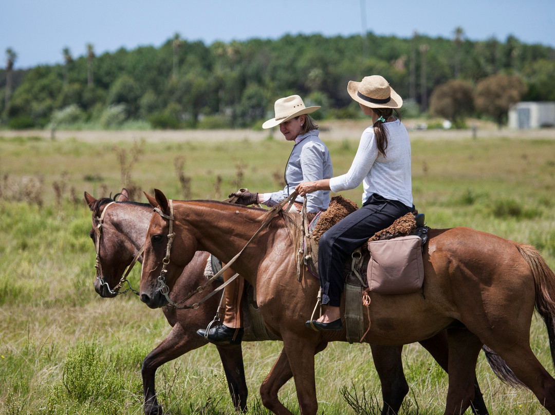 Lares Cabalgatas & Paseos-Jose Ignacio必去景点
