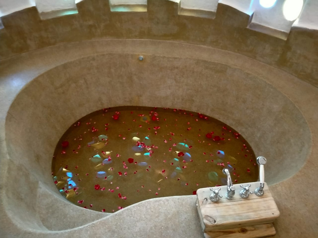 瑟瓦伊马托布尔酒店住宿-The Earth at Ranthambore