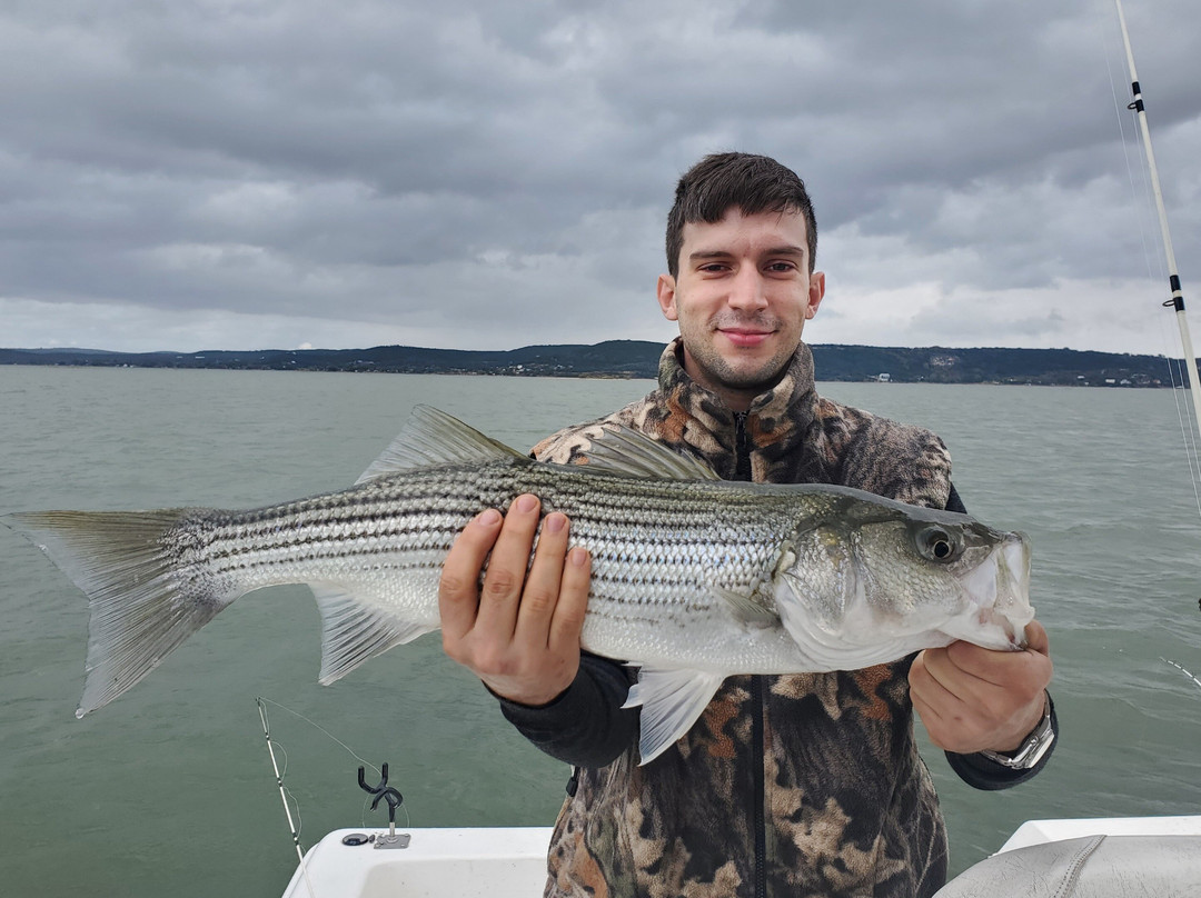 Bosstriper Guide Service