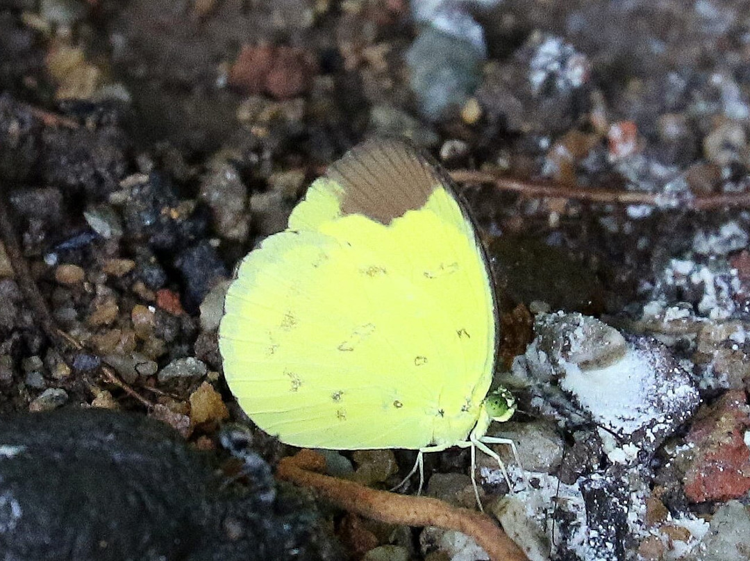 Admiralty Park-新加坡必去景点