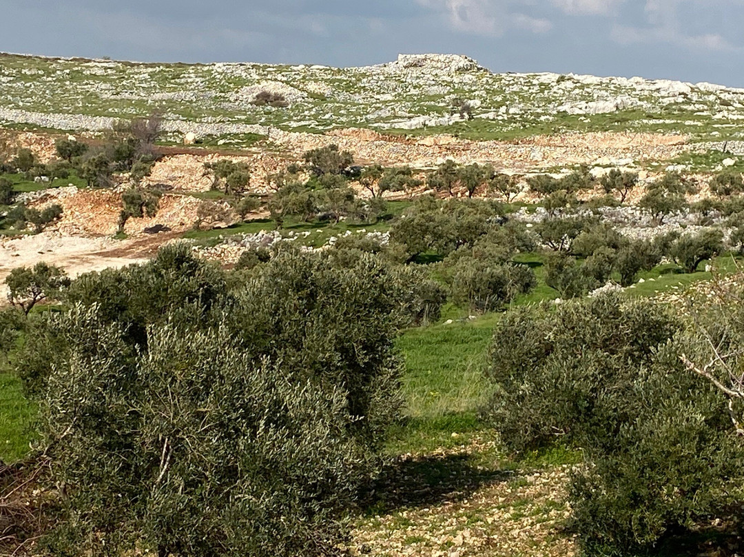 Mount Eival-Nablus必去景点