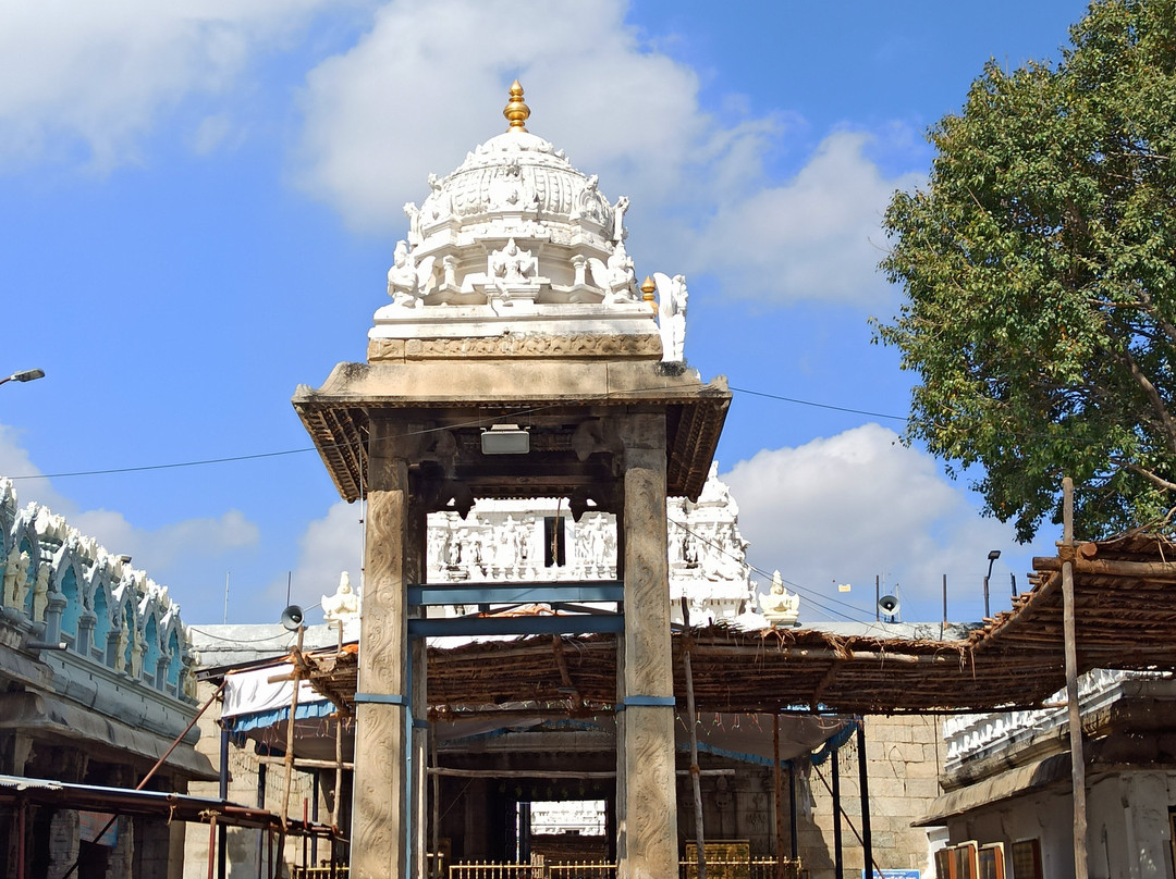Sri Govindarajaswami Temple景点图片
