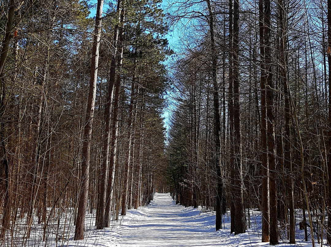 Durham Regional Forest-Uxbridge必去景点