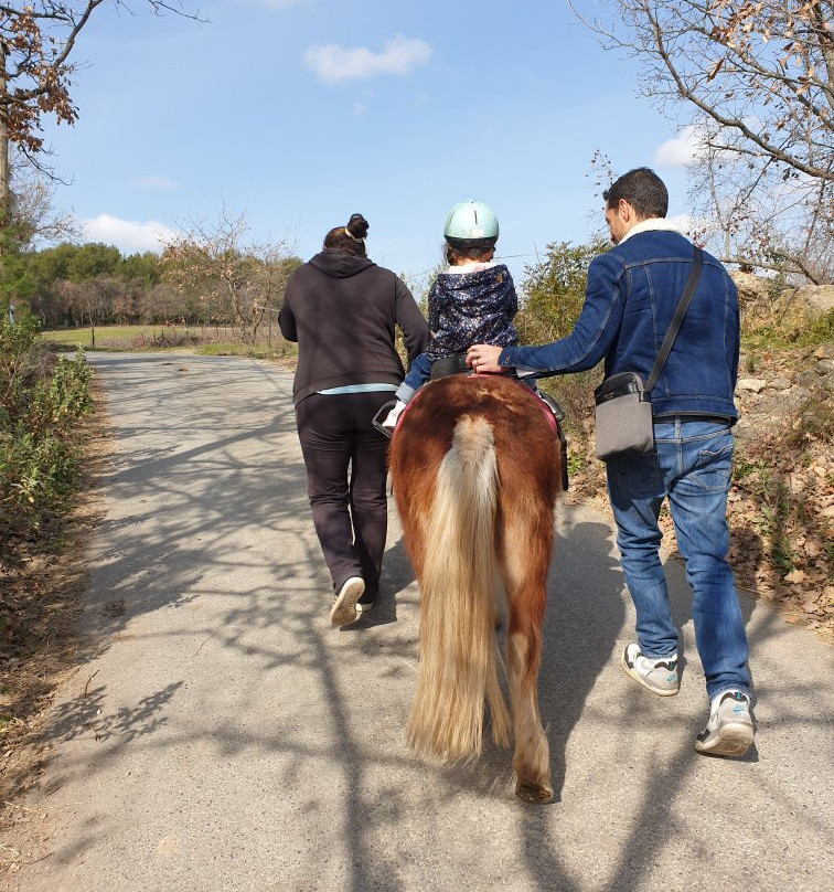 Haras des Villards-Callian必去景点