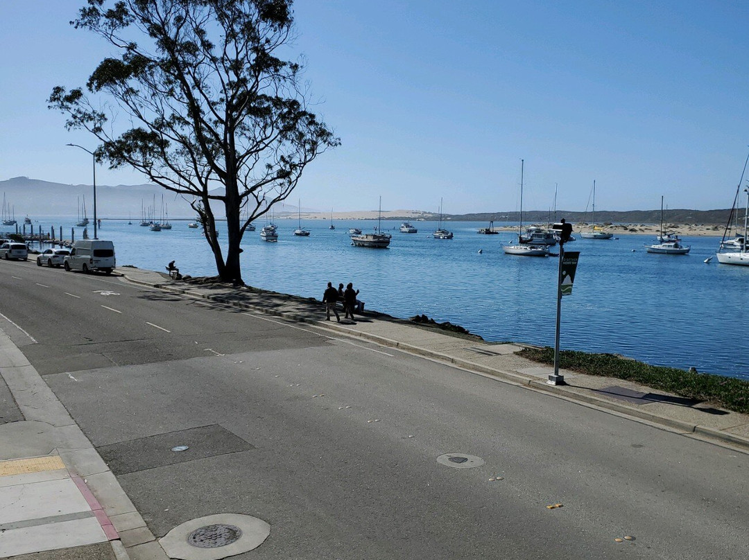 内河码头456号套房宾馆主图