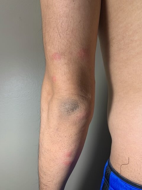 Country Inn & Suites by Radisson, Decatur, IL主图