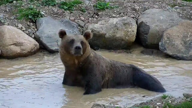 Observator De Ursi-Borzont必去景点
