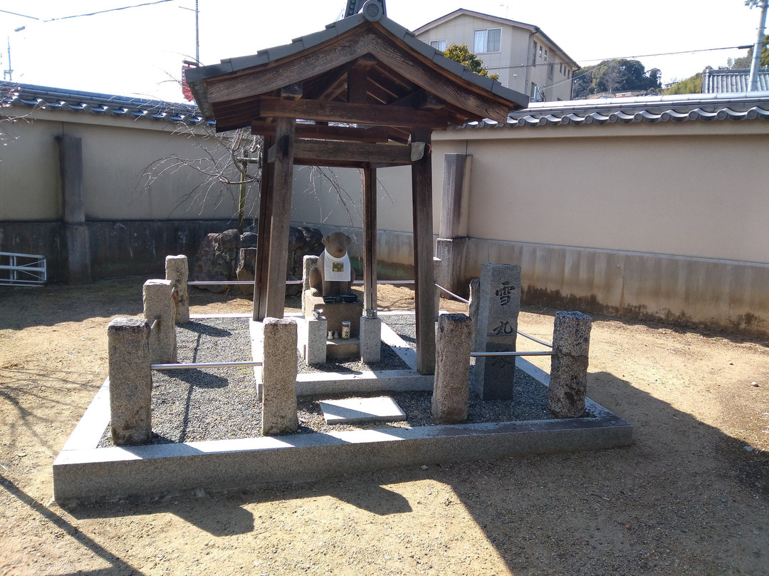 Daruma-ji Temple景点图片