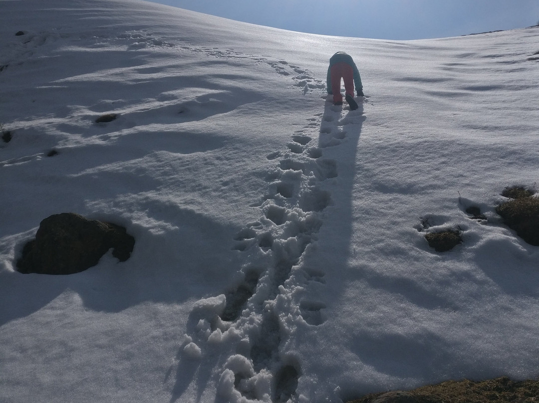 Chakrata酒店住宿-Munaals Nest