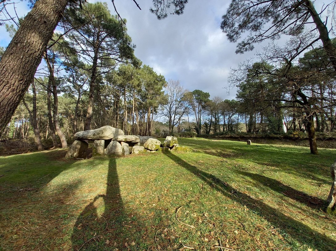 Dolmens de Mané Kerioned景点图片
