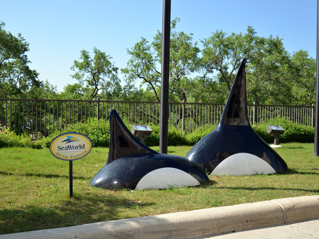 Staybridge Suites San Antonio Sea World by IHG主图