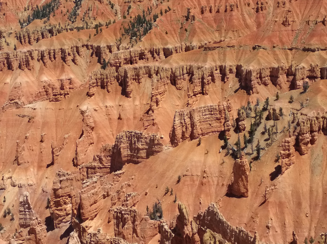 Point Supreme-锡达城必去景点