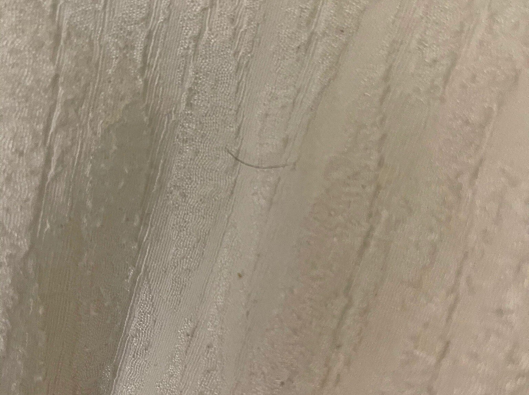 Embassy Suites by Hilton Dulles North Loudoun主图