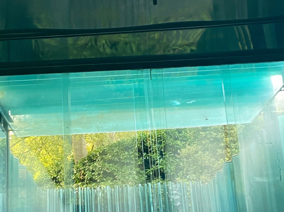 Les Cols Pavellons主图