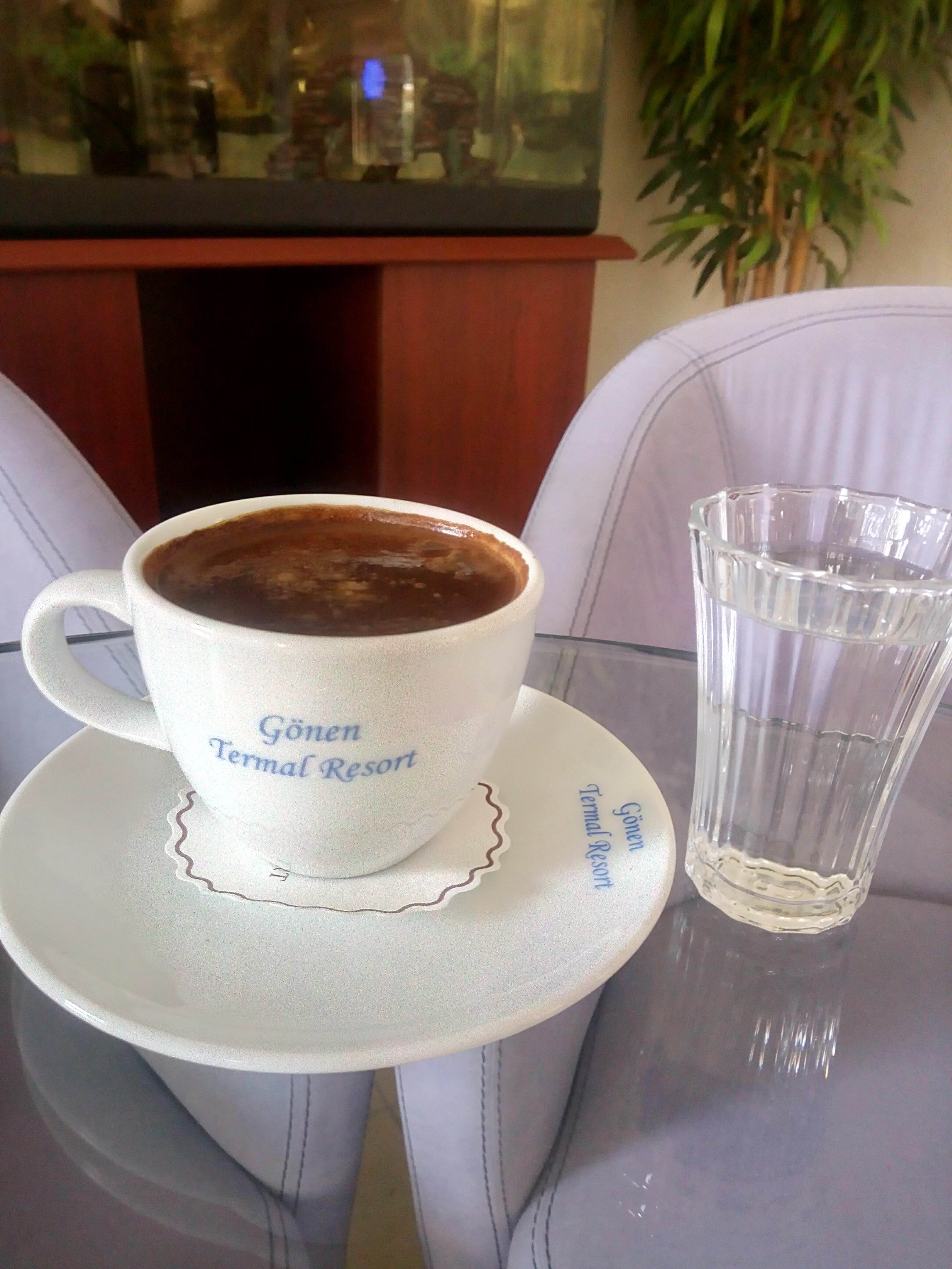 Gonen Termal Yildiz Hotel-portrait