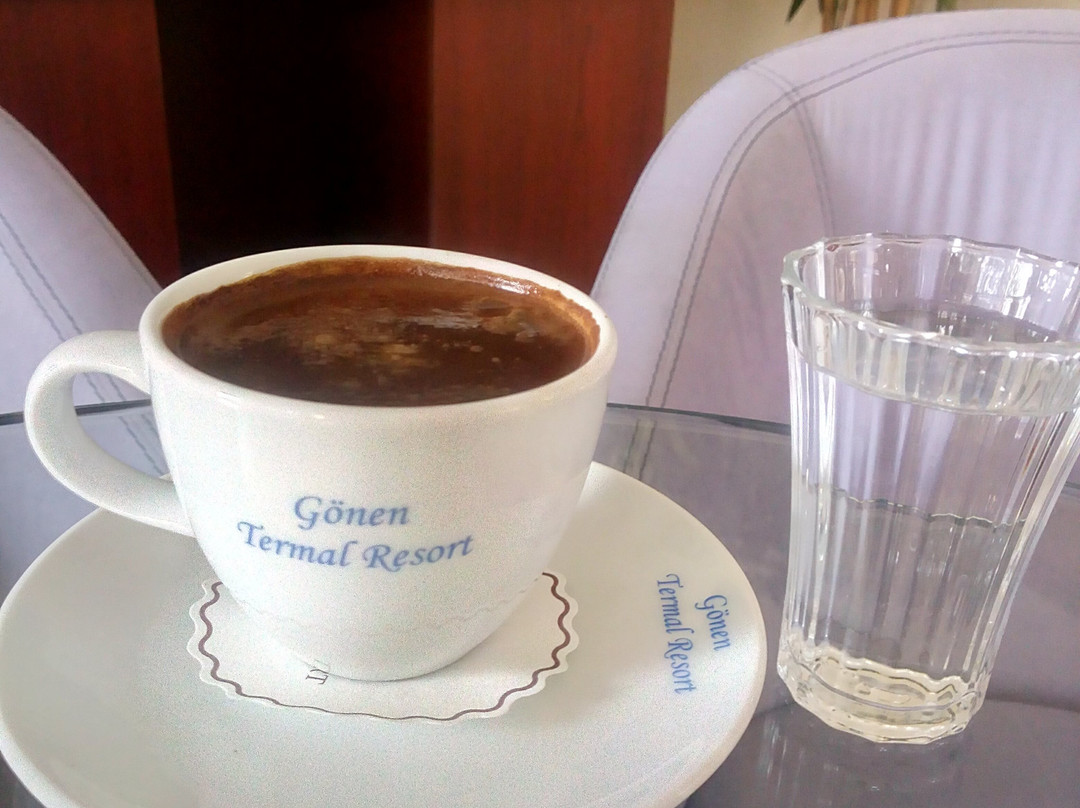 Gonen Termal Yildiz Hotel主图