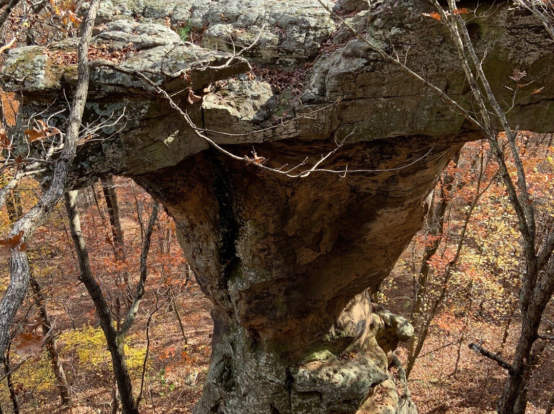 Buffalo National River Park-Harrison必去景点