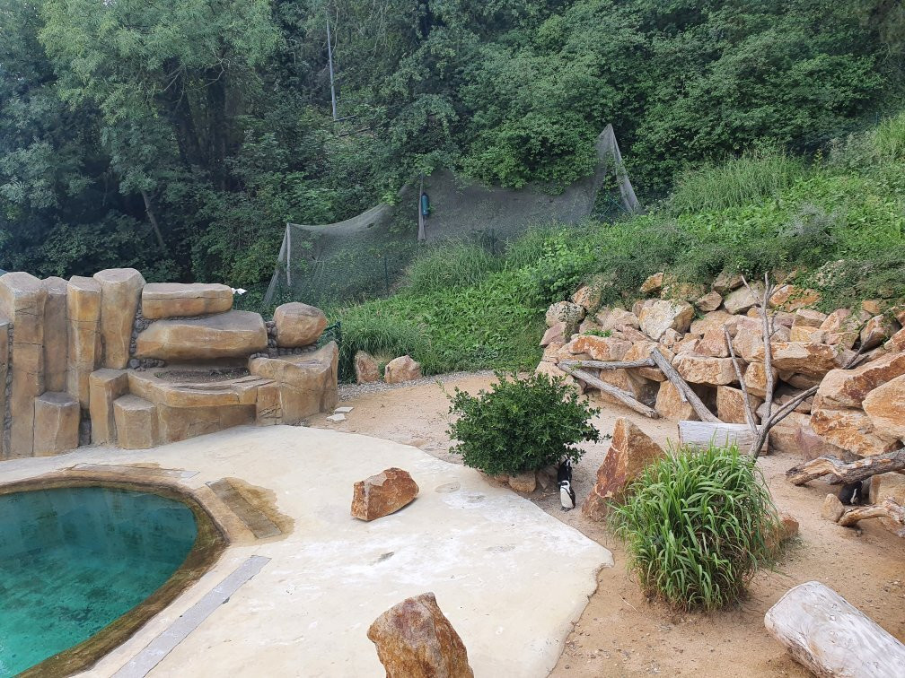 Usti Nad Labem Zoo-拉贝河畔乌斯季必去景点