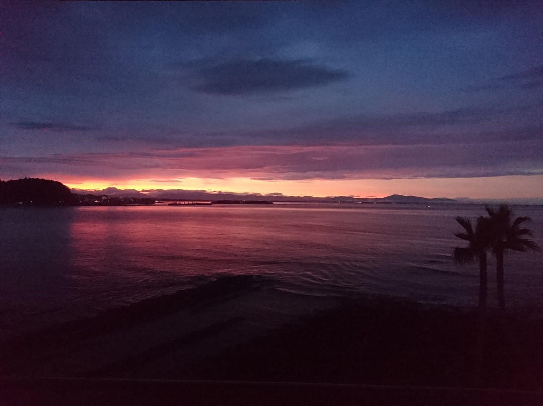 Aoshima Cinqmale主图