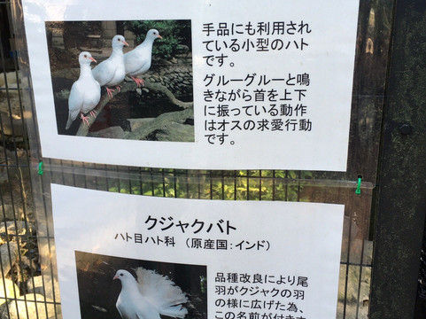 Greenpia Kasugai-春日井市必去景点