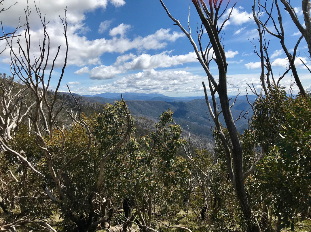 Dungey's Hollow-Hotham Heights必去景点