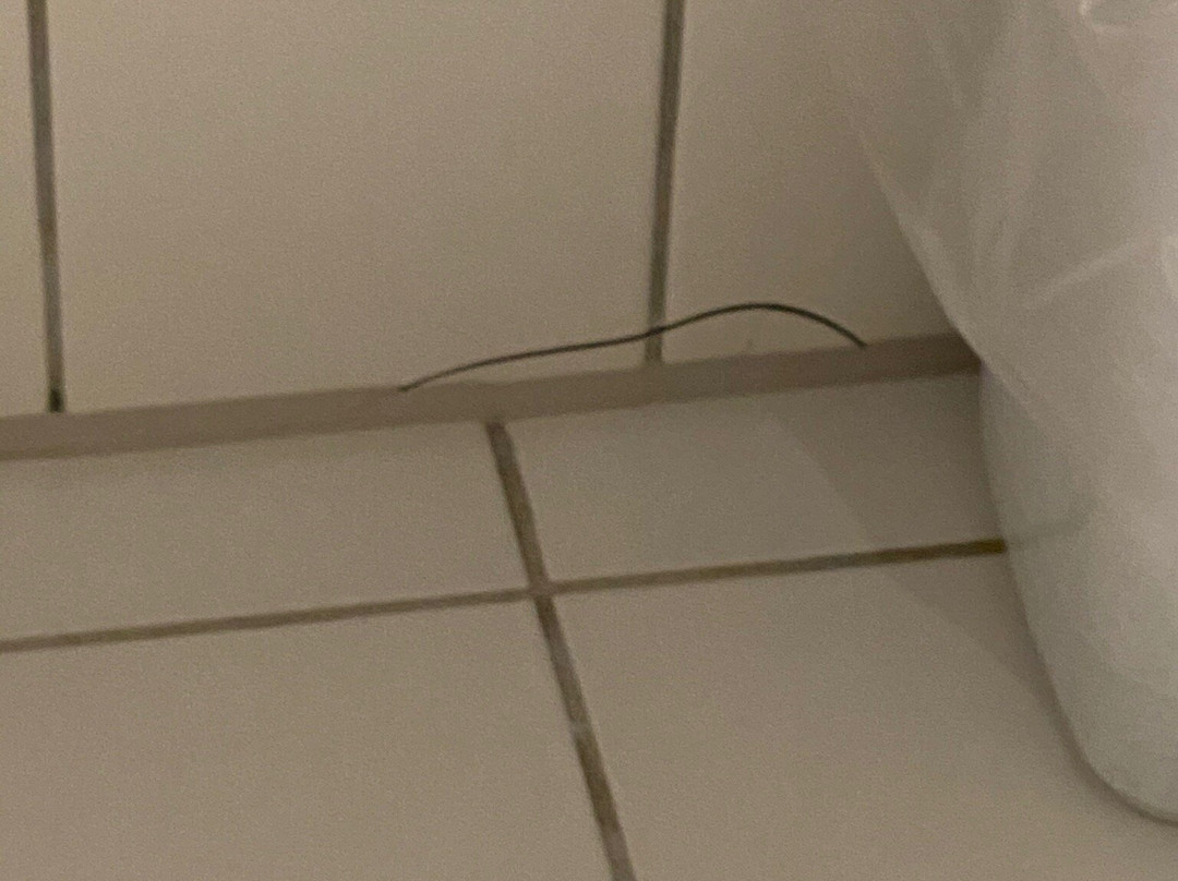 康福特城市主图