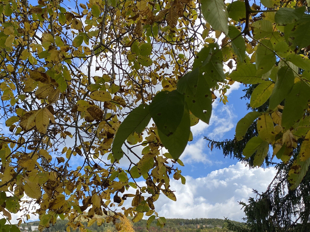 Santa Margherita di Staffora旅游攻略图片