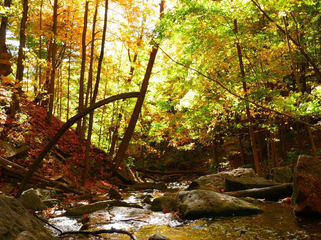 Great Falls-Waterdown必去景点