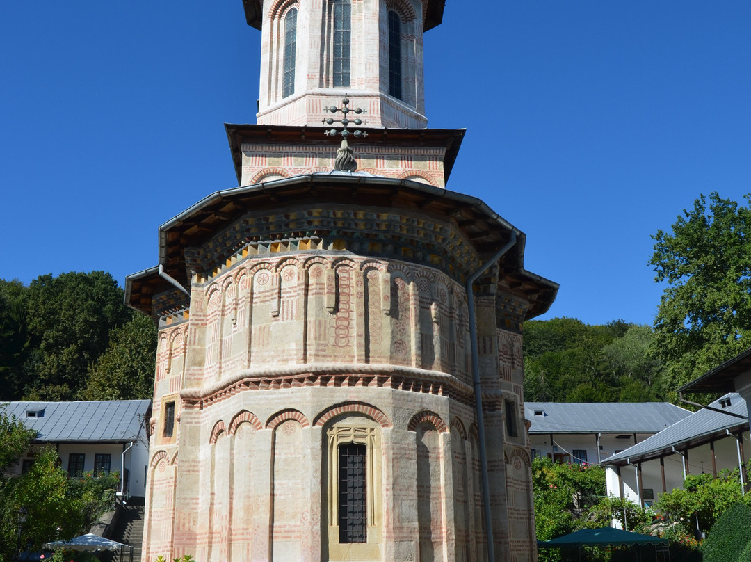 Dintr-un Lemn Monastery-勒姆尼库沃尔恰必去景点