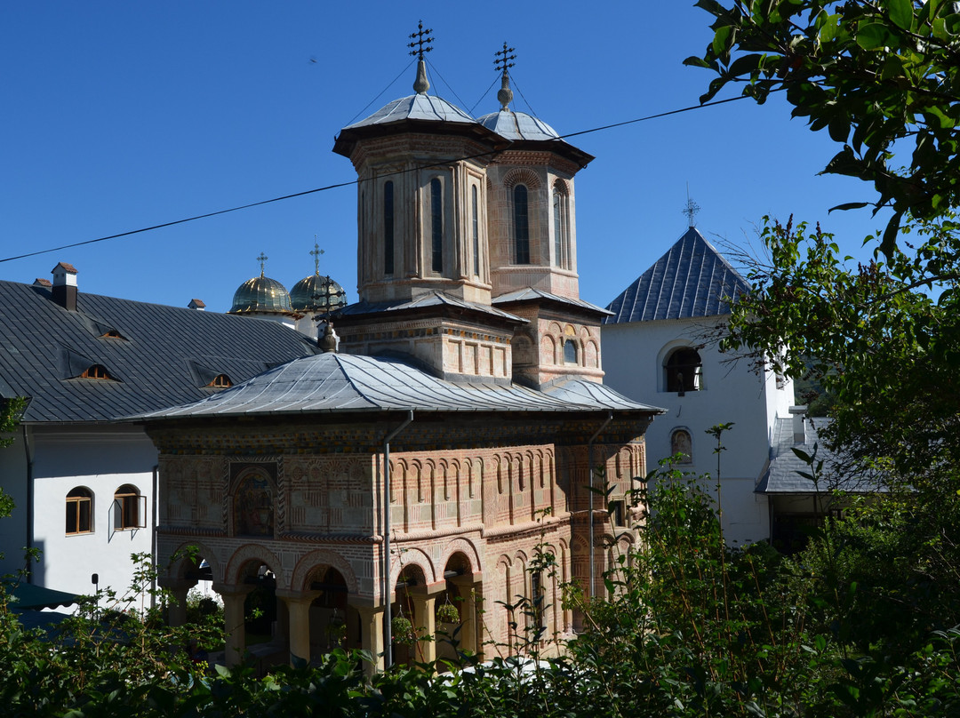 Dintr-un Lemn Monastery-勒姆尼库沃尔恰必去景点