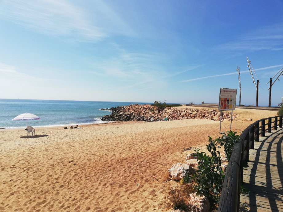 Praia do Forte Novo景点图片